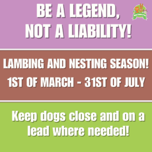 Importance of Keeping Dogs Under Control During Lambing and Nesting Season