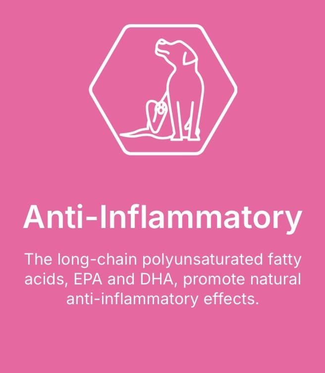 Cani Cuisine. Veterinary Care. Skin and Coat. Anti-inflammatory food