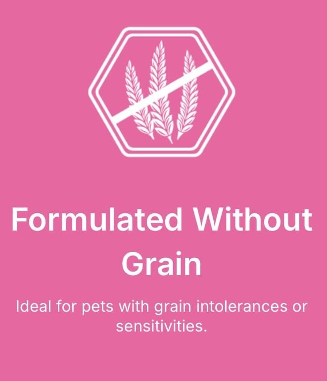 grain free vet dog food