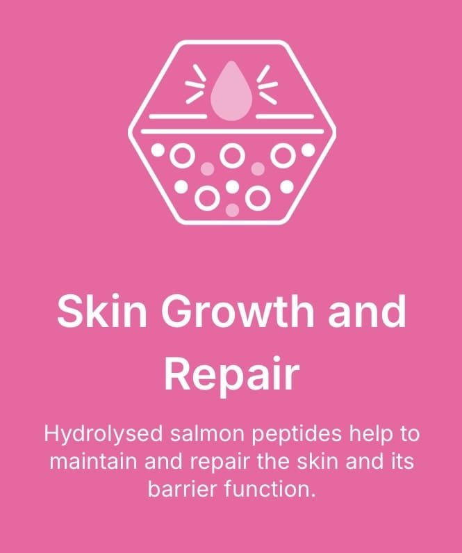 Skin and Coat. Skin growth and repair dog food