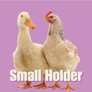 Small Holding
